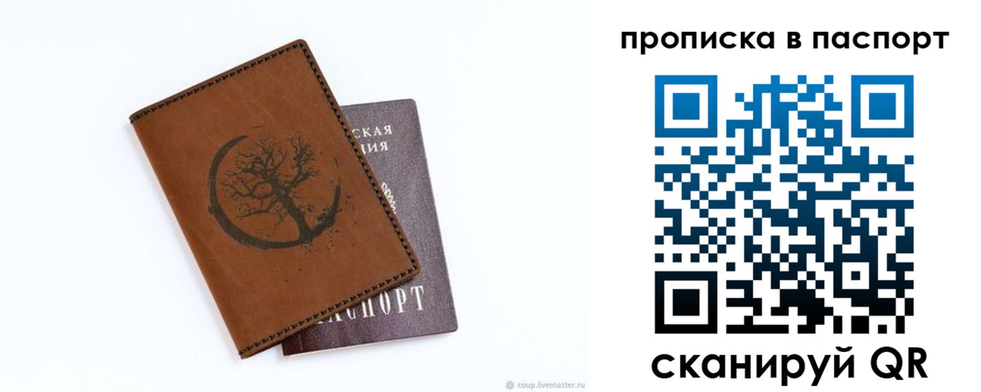 прописка законно в Химках